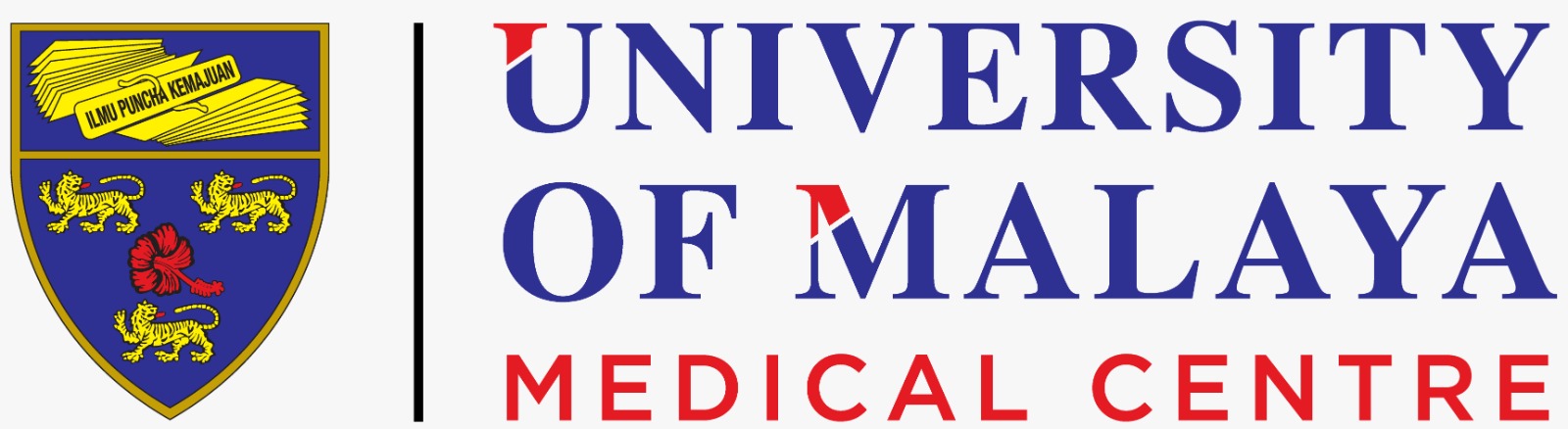 WhatsApp Image 2025-08-07 at 4.10.42 PM